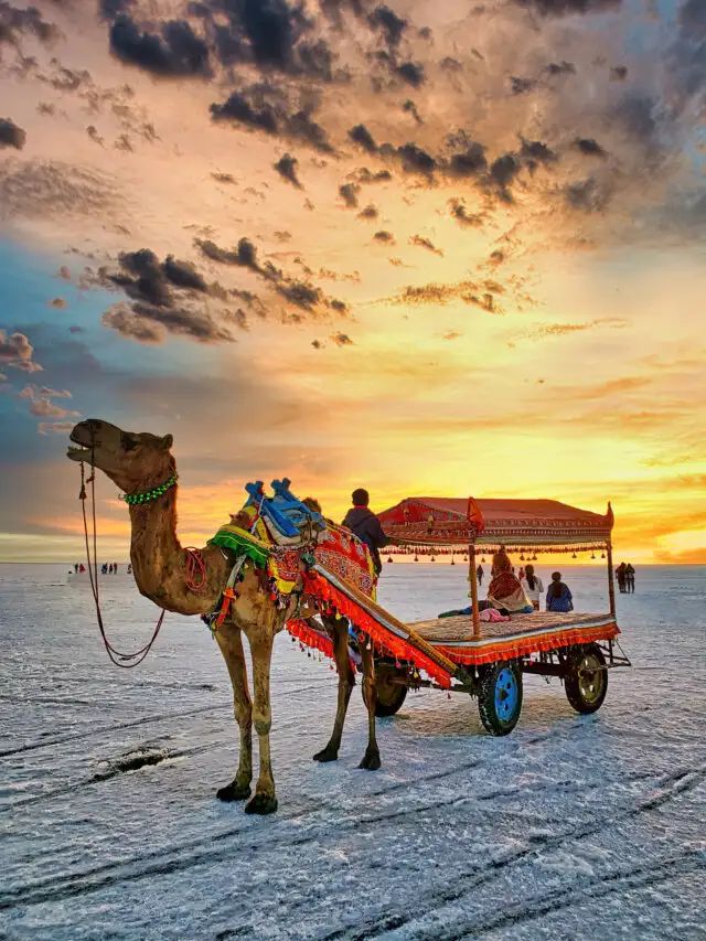 Rann of Kutch with Dholavira Tour Package – White Desert of Gujarat