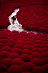 Traditional incense-making in Incense Village, Hanoi, Vietnam, with artisans crafting sticks by hand