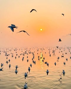 Bhigwan one day return