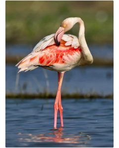 Bhigwan one day return